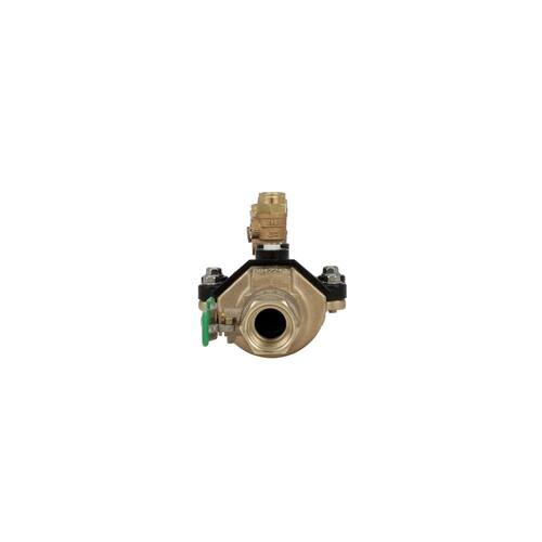 Brass Backflow Prevention 3/4 in. FIP x FIP PSI-175