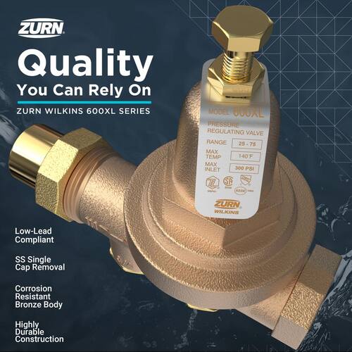 Brass Pressure Regulating 1 in. FIP x FIP PSI-300